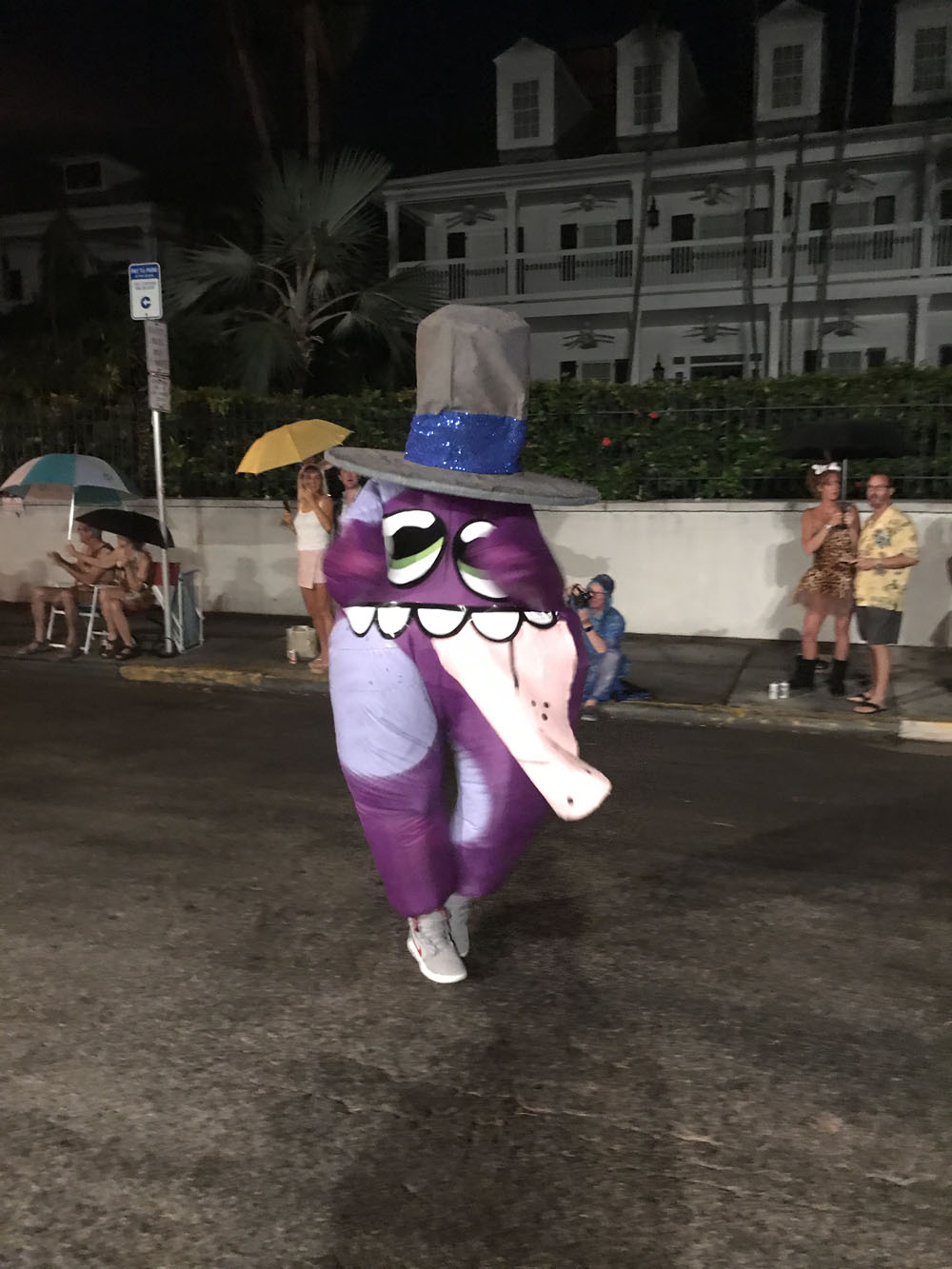 Fantasy Fest Parade 2017 photo - Duval Street, Key West
